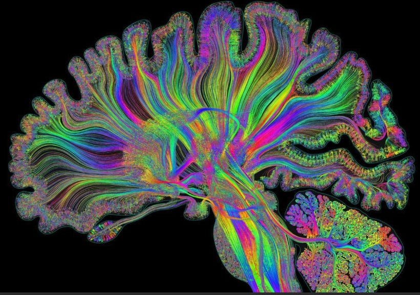 How Neuroaesthetics Is Transforming Contemporary Art