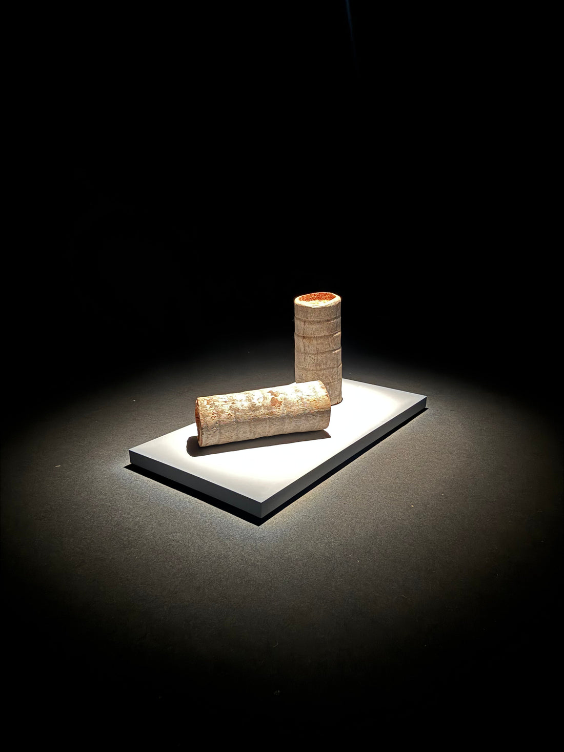 Between Art and Space: The São Paulo Biennial as a territory of convergence.