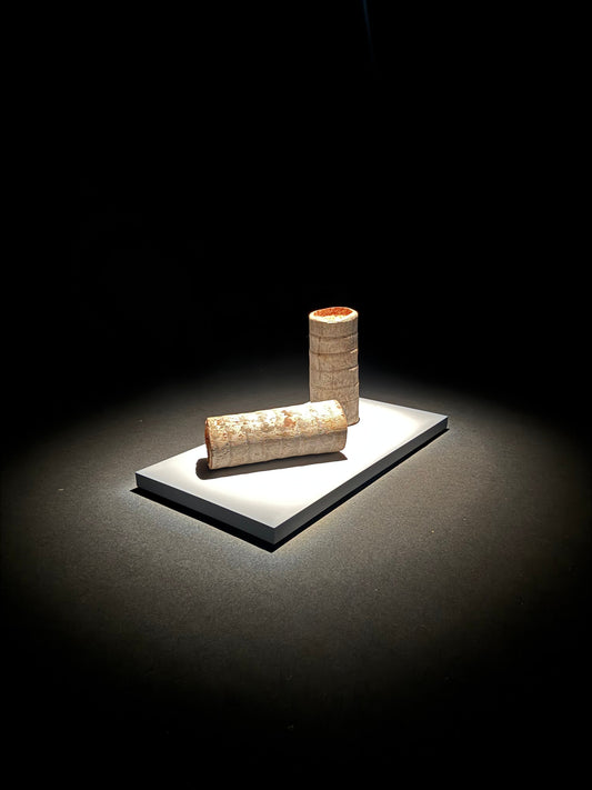 Between Art and Space: The São Paulo Biennial as a territory of convergence.