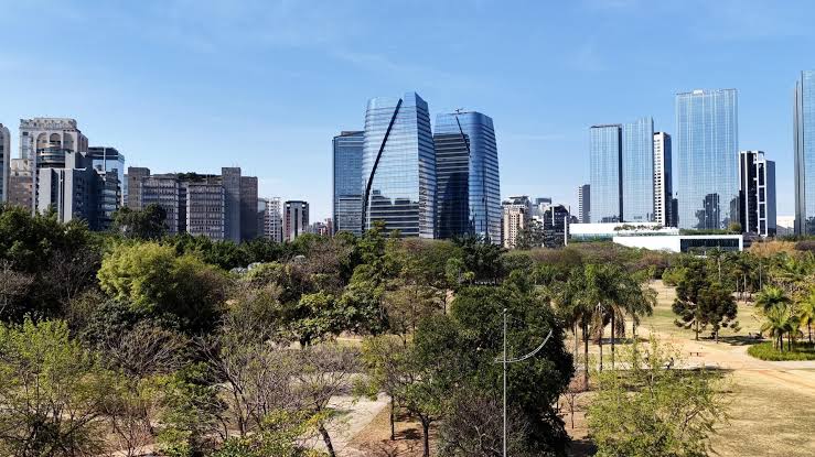 São Paulo as a Leading Center for the Contemporary Art Market