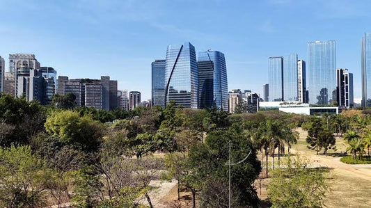 São Paulo como Referência no Mercado de Arte Contemporânea