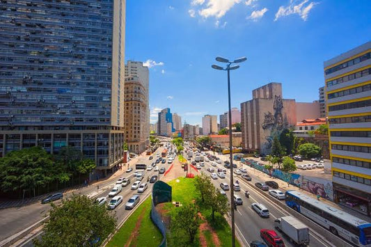 São Paulo as a Leading Center for Art Collecting