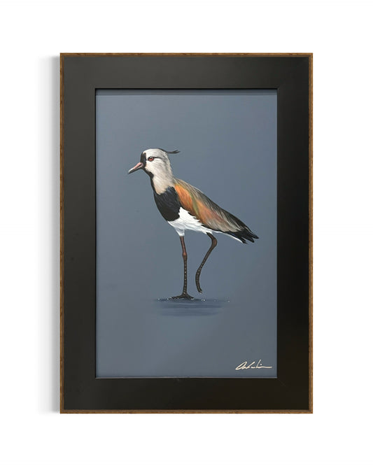 Obra De Arte Figurativa - Vanellus Chilensis